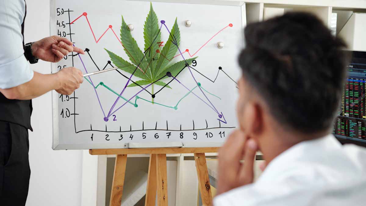 Cannabis Stocks To March 2024