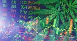 Marijuana Stocks Chart Graph Leaf