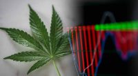 Marijuana Stocks To Watch Right Now 2024