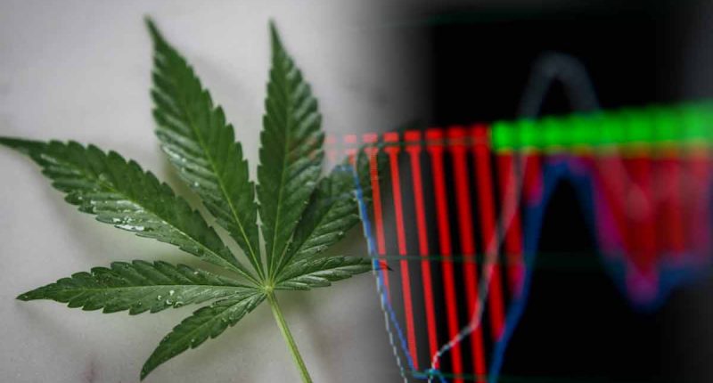 Marijuana Stocks To Watch Right Now 2024