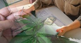 Pot Stocks For 2022 To Watch Right Now