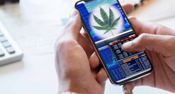 Top Marijuana Stocks Last Week In November 2025