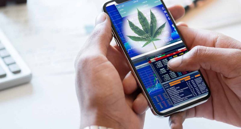 Top Cannabis Stocks Last Week In December 2021