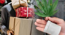 Top Marijuana Stocks For Gains Christmas Week