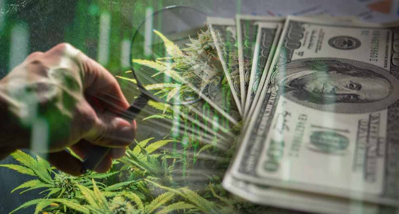 Top Marijuana Stocks To Buy In 2021