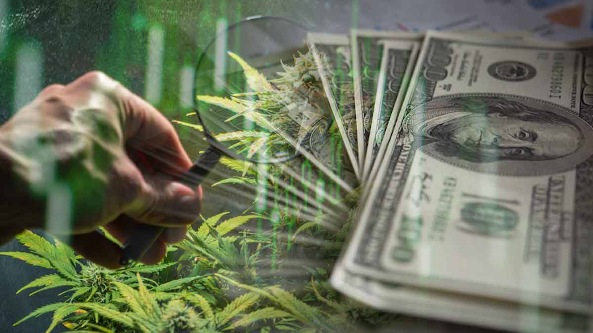 Top Marijuana Stocks To Buy In 2021