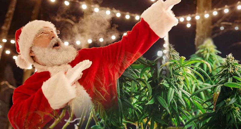 Top Marijuana Stocks To Watch In A Santa Claus Rally