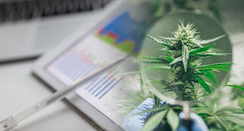 Top Marijuana ETFs For Q1 2022