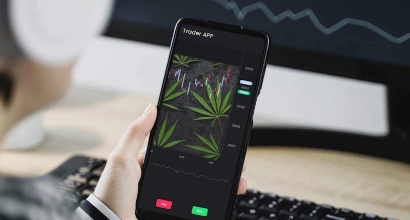 Watchlist For Pot Stocks 2022_