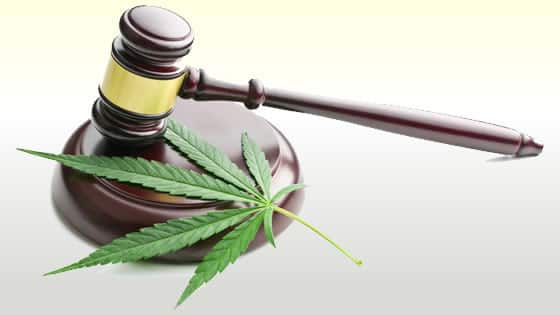 marijuana-gavel