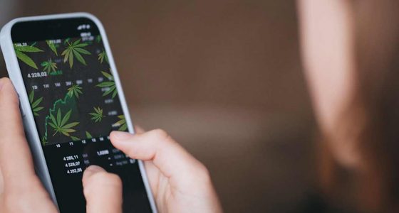 Best Cannabis Stocks For Right Now 2025