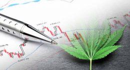 Best Cannabis Stocks In 2024 Mid March