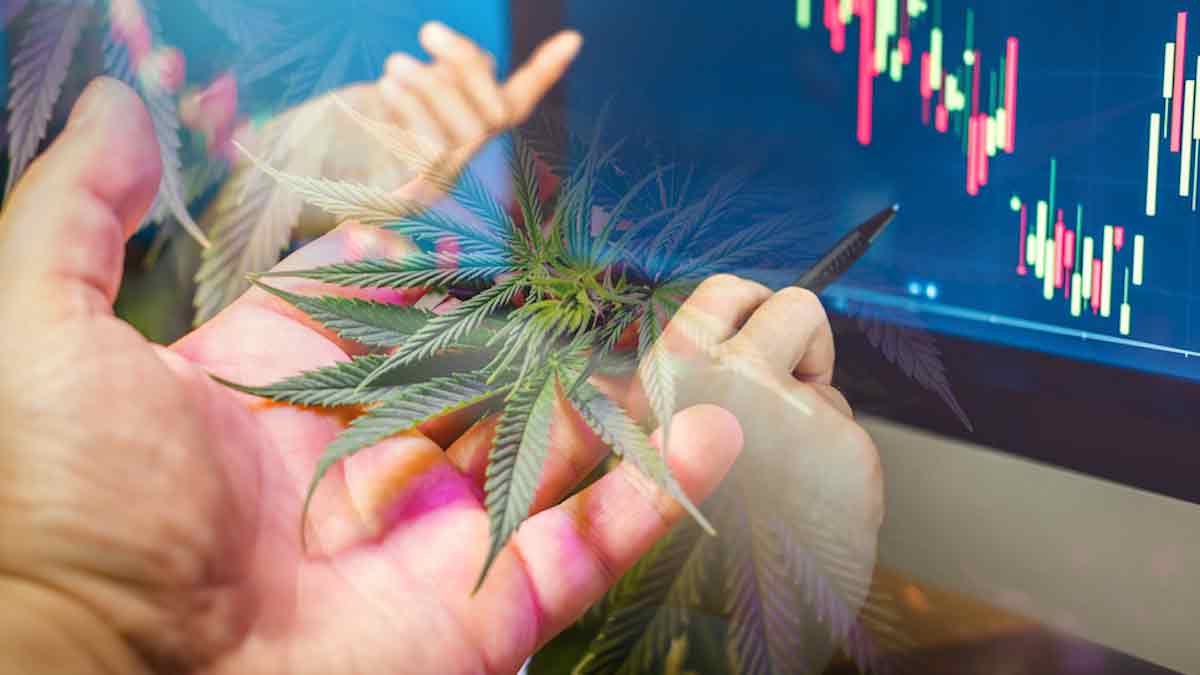 Best Cannabis Stocks In 2023 This Week