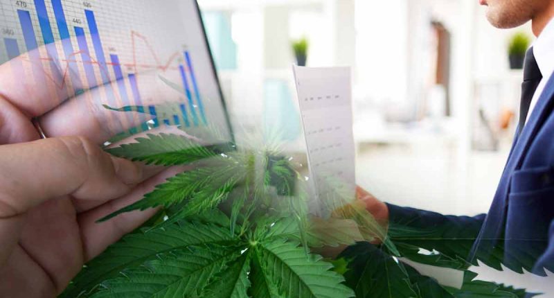 Best Marijuana Stocks For Wacthlist To Close January