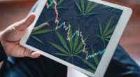 Best Marijuana Stocks To Watch 3rd Week In January 2022