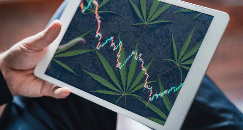 Best Marijuana Stocks To Watch 3rd Week In January 2022
