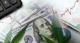 Best Pot Stocks For 2023 Gains In August