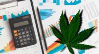 Best Pot Stocks To Watch For 2022 Right Now