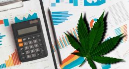 Best Pot Stocks To Watch For 2022 Right Now