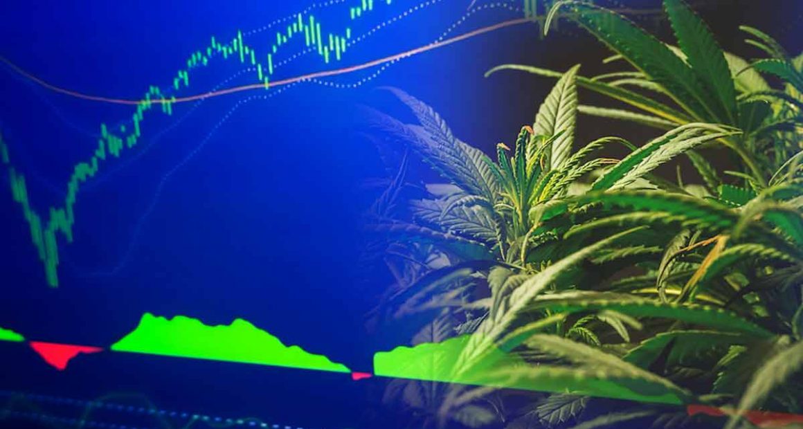 Is Coca Cola Getting Into the Cannabis Space? Marijuana Stocks