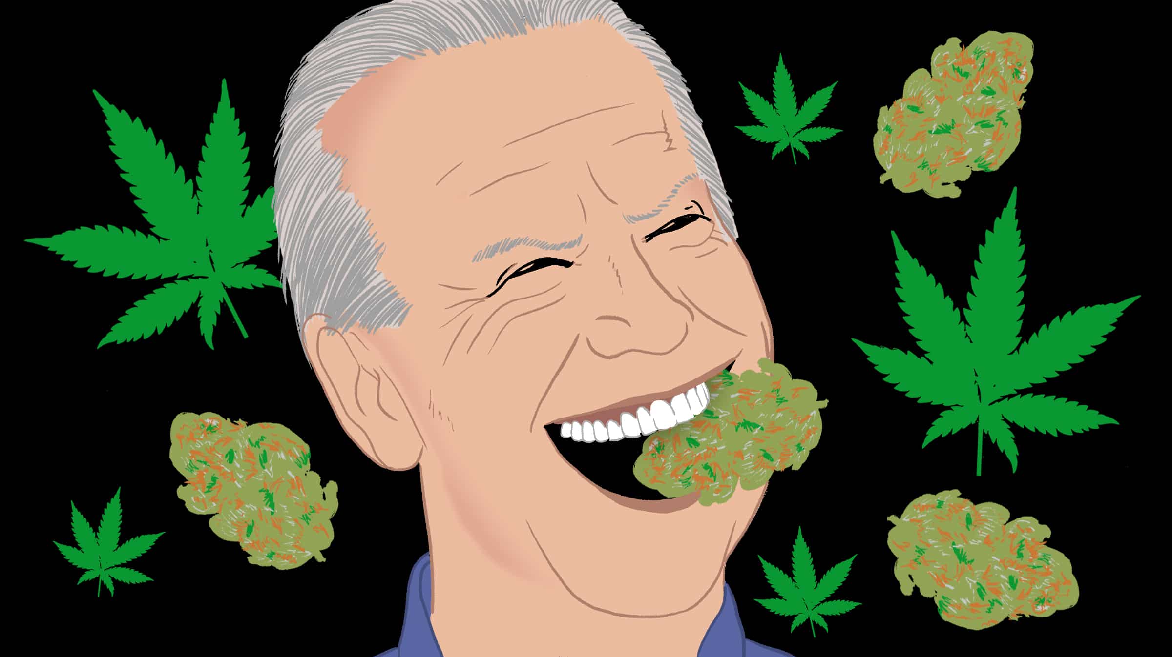 Joe Biden Marijuana Cannabis