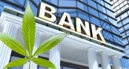 SAFE Act Bank Cannabis leaf
