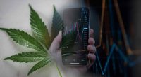 Top Cannabis Stocks For 2nd Week In January 2022
