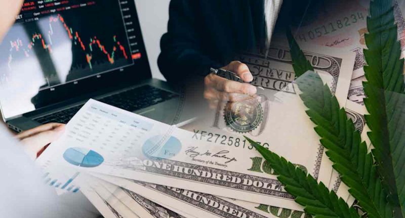 Top Cannabis Stocks For Gains During December 2023