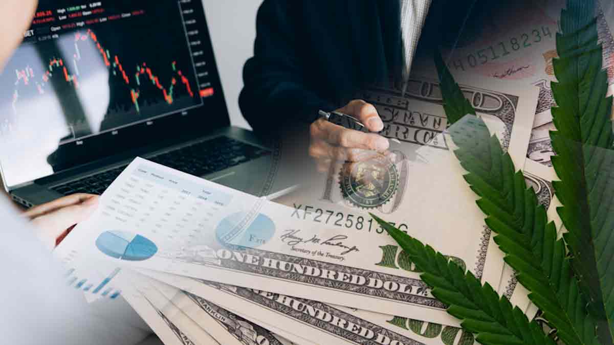 Top Cannabis Stocks For Gains During December 2023