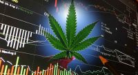 Top Cannabis Stocks For February 2024 List