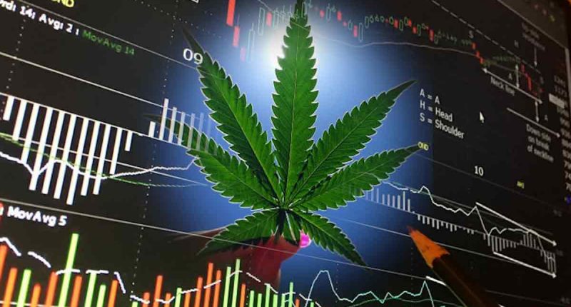 Top Cannabis Stocks For February 2024 List