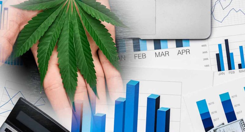 Top Marijuana Stocks For 2022 Mid January