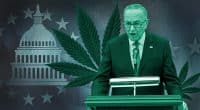 ChuckSchumer_LegalizationBill