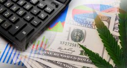 Top Pot Stocks This Week In February