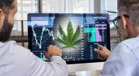 Best Cannabis Stocks For April 2024 Watchlist