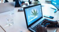 Best Cannabis Stocks In March To Watch