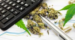 Best Cannabis Stocks To Buy Before Q2 2022