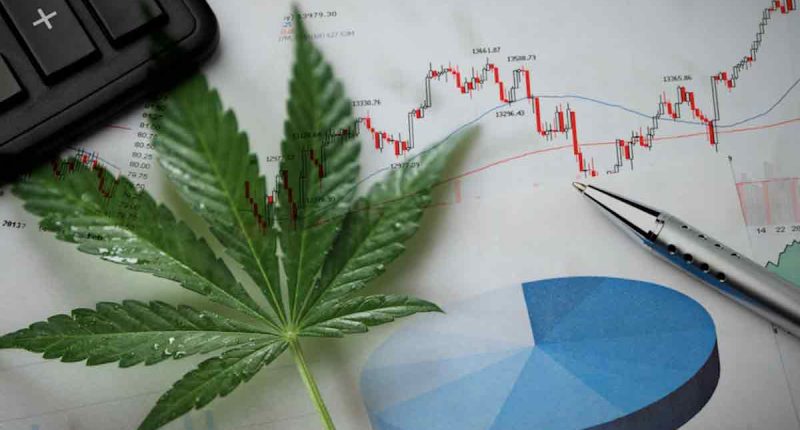 Best Pot Stocks To Buy Mid October