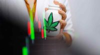 Top Marijuana Stocks To Watch In April Rally