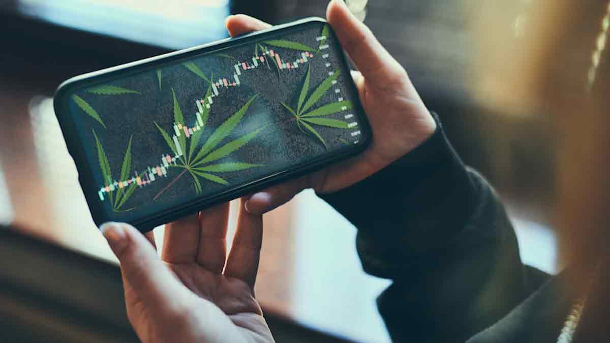 Top Pot Stocks This Week In March