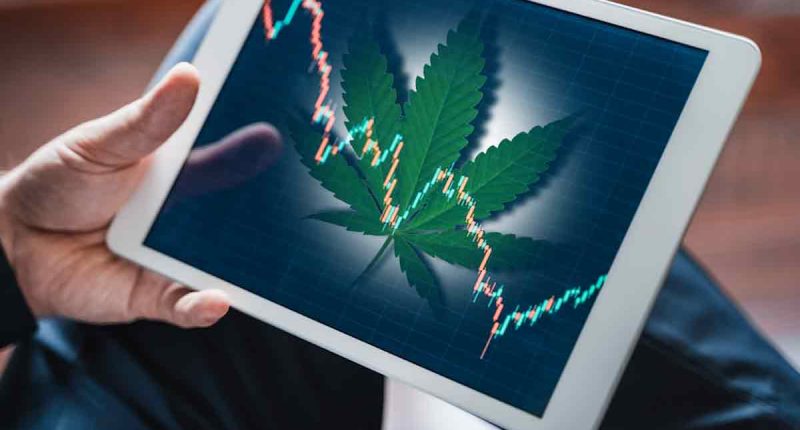Top Pot Stocks For 1st Week In March