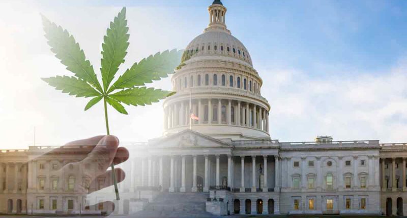 US Federal Marijuana Legalization In 2022