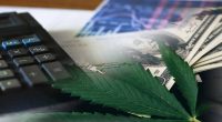Best Marijuana Stocks To Buy April 2022