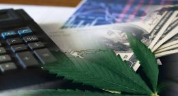 Best Marijuana Stocks To Buy April 2022