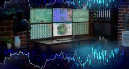 Best Marijuana Stocks To Buy In 2024