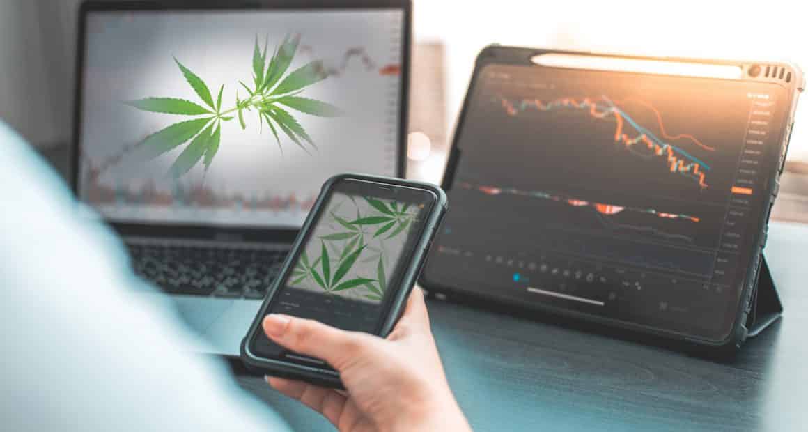 Marijuana Stocks Cannabis Investments and News. Roots of a Budding