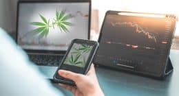 2023's Cannabis Boom: Profiling the Leading US Marijuana Stocks with Double-Digit Gains