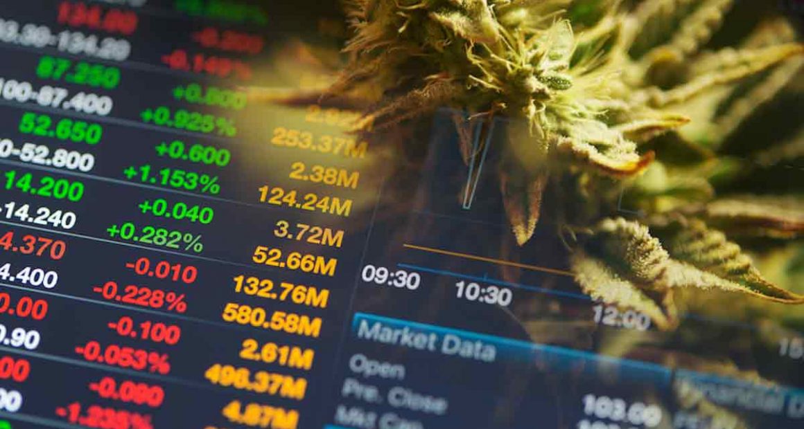 Cannabis Companies to Look Out For as the Market Continues to Grow