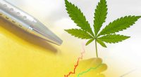 Top Cannabis Stocks For 2022 Profits