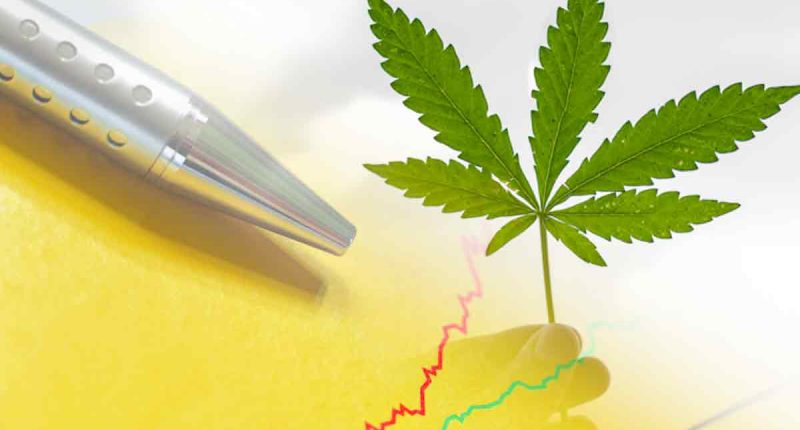 Top Cannabis Stocks For 2022 Profits
